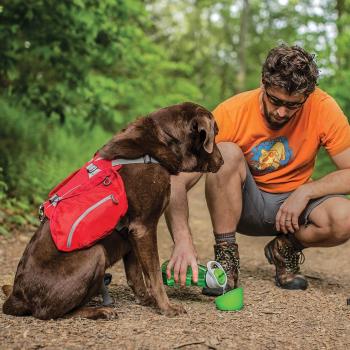 Kurgo Big Baxter Backpack Chili/Barn Red (23-50 kg)